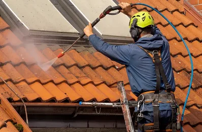 Démoussage et hydrofuge de toiture à Athos-Aspis